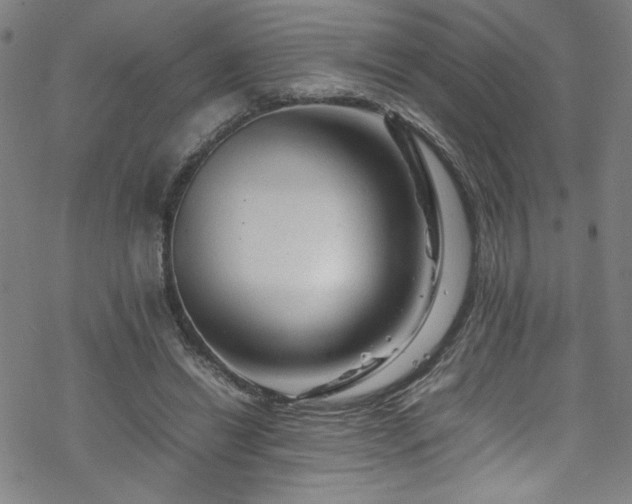 X0000070190446200606021101