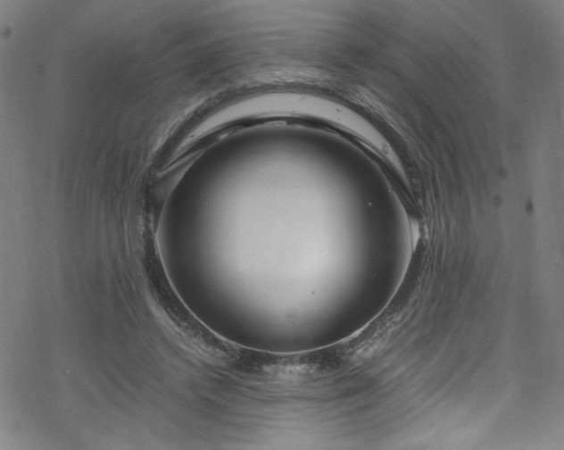 X0000070190448200606021101