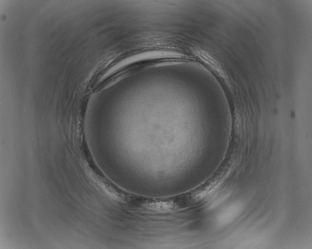 X0000070190449200606021101