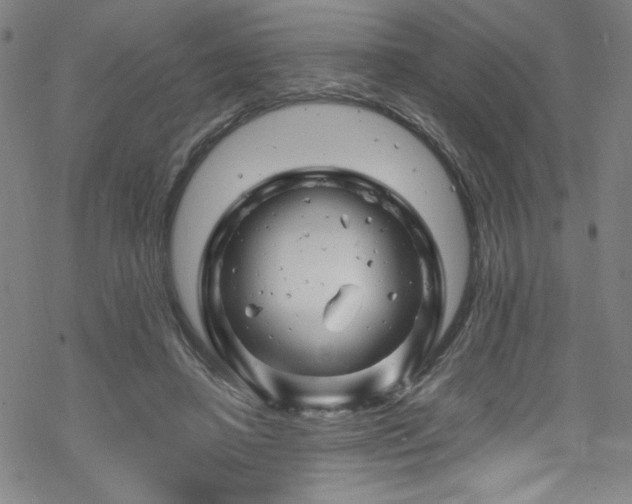 X0000070190450200606021101