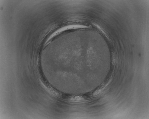 X0000070190451200606021101