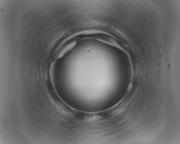 X0000070190452200606021101