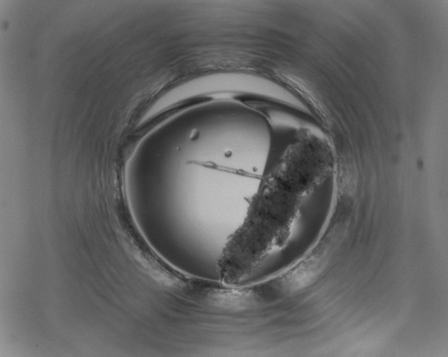 X0000070190453200606021101