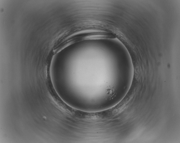 X0000070190454200606021101