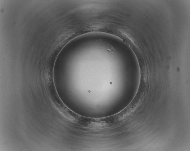 X0000070190455200606021101