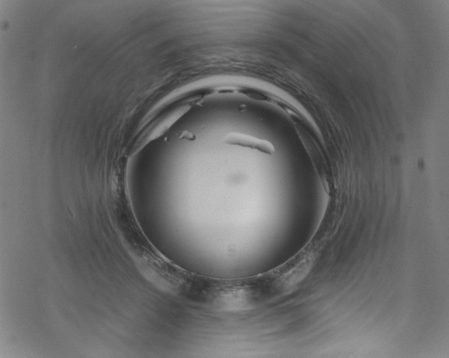 X0000070190456200606021101