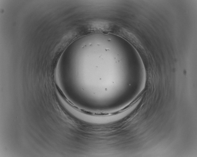 X0000070190457200606021101