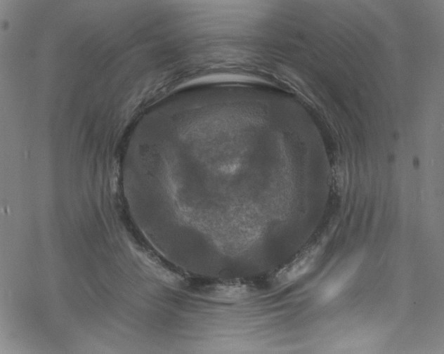 X0000070190458200606021101