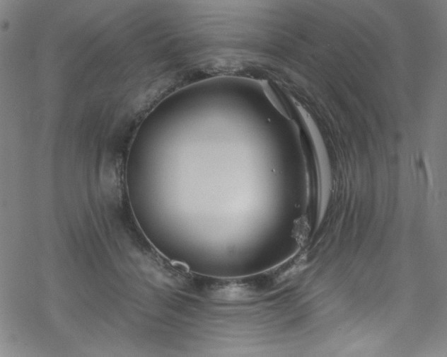 X0000070190460200606021101