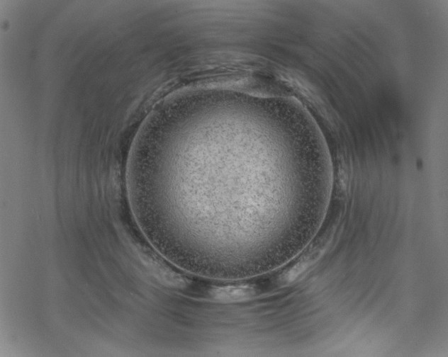 X0000070190461200606021101