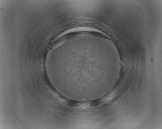 X0000070190462200606021101