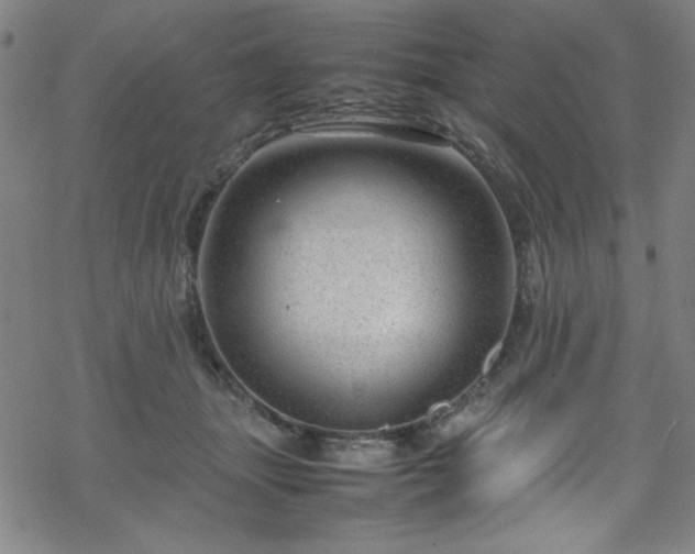 X0000070190463200606021101