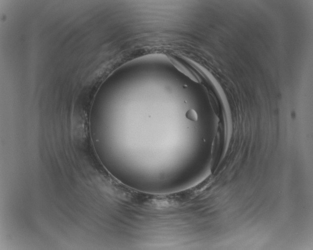 X0000070190464200606021101