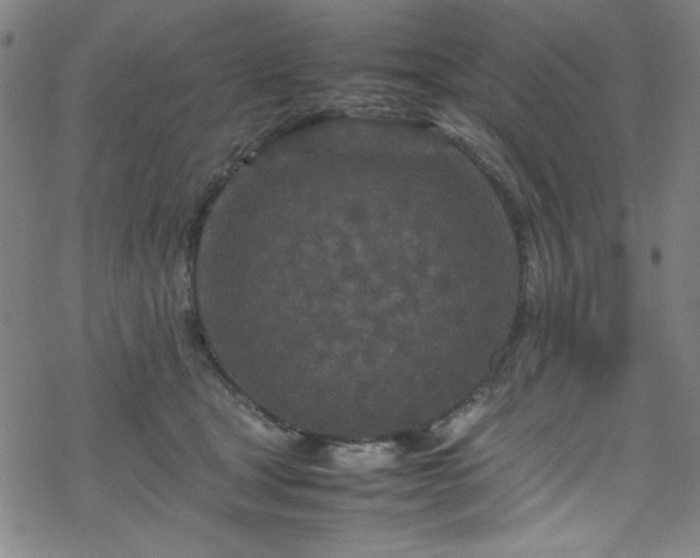 X0000070190465200606021101