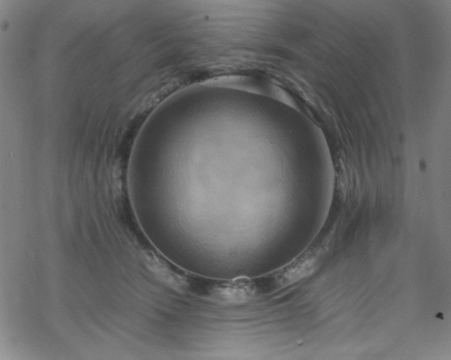 X0000070190466200606021101