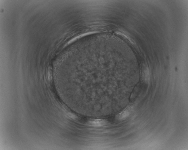 X0000070190467200606021101