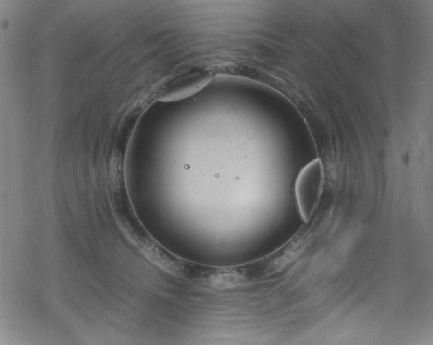 X0000070190468200606021101