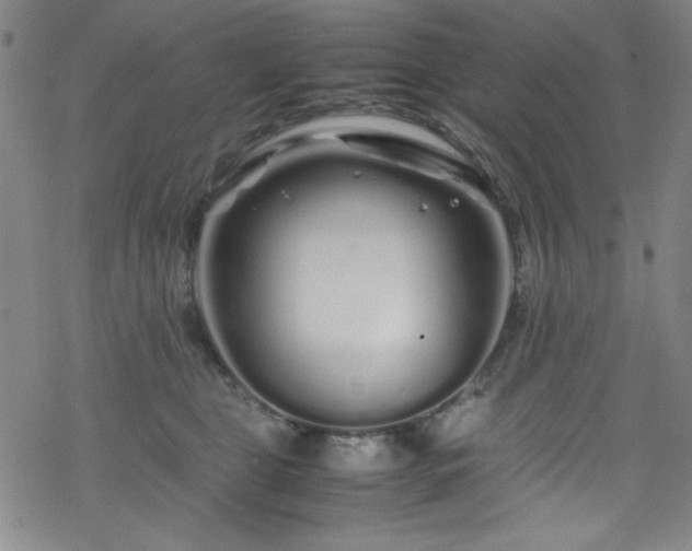 X0000070190469200606021102