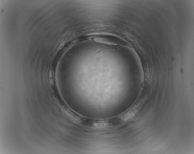 X0000070190470200606021102