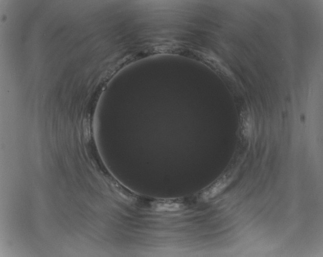 X0000070190471200606021102