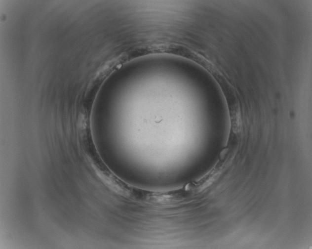 X0000070190472200606021102