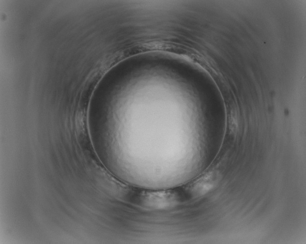 X0000070190473200606021102