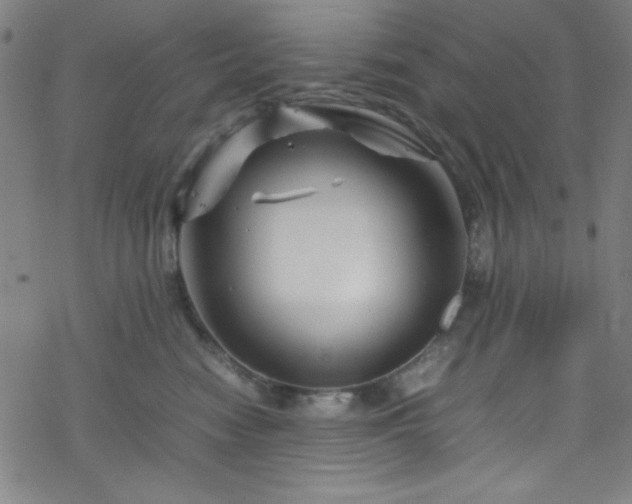 X0000070190474200606021102