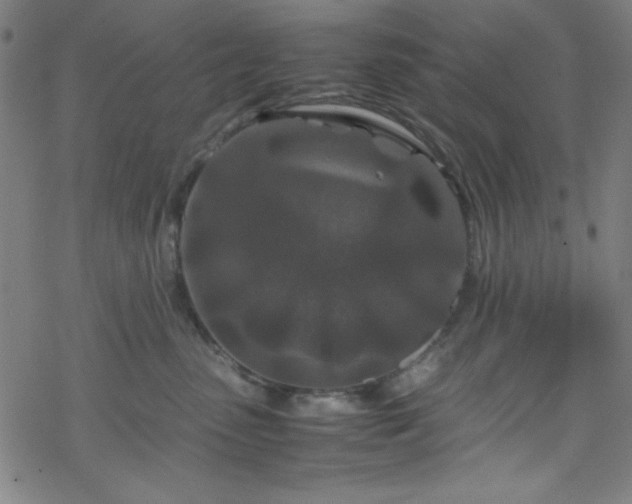 X0000070190475200606021102