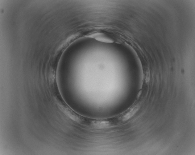 X0000070190476200606021102