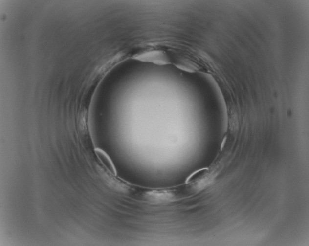 X0000070190477200606021102