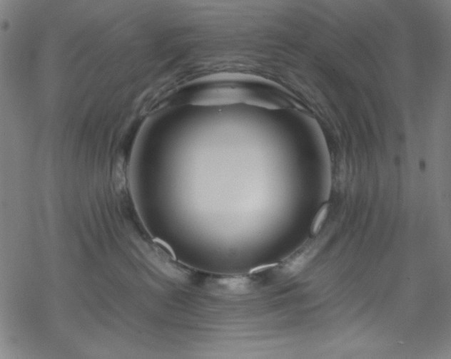 X0000070190478200606021102