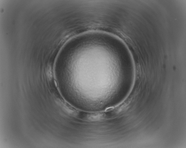 X0000070190479200606021102