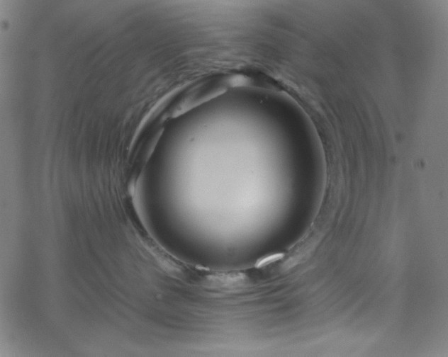 X0000070190480200606021102