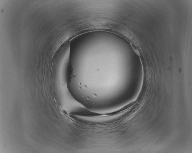 X0000070190481200606021101