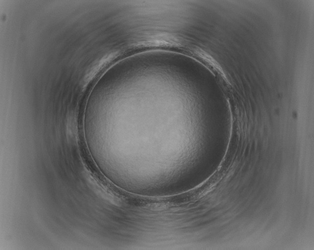 X0000070190482200606021101