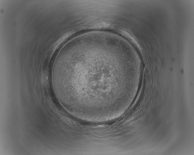 X0000070190483200606021101