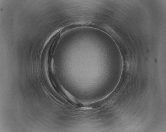 X0000070190484200606021101