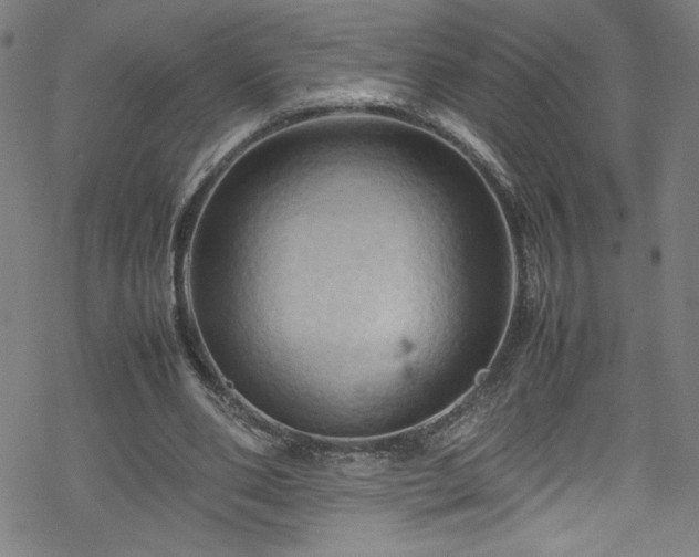 X0000070190486200606021101