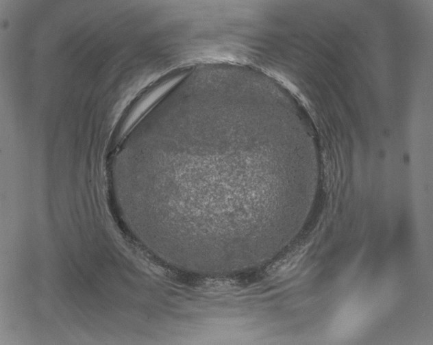 X0000070190487200606021101