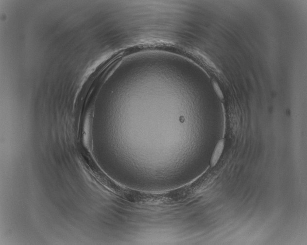 X0000070190488200606021101