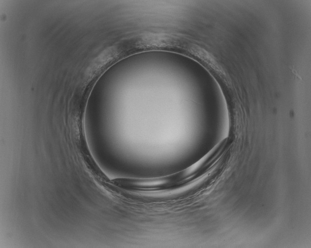 X0000070190489200606021101