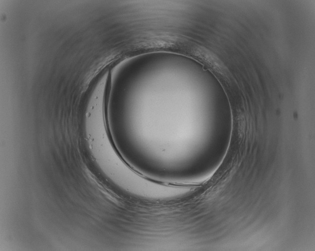 X0000070190490200606021101