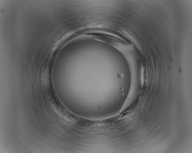 X0000070190492200606021101