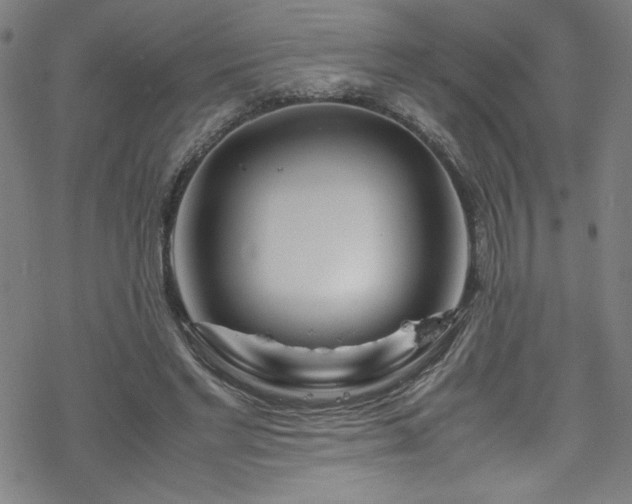 X0000070190493200606021101