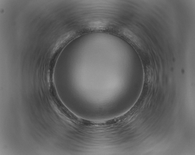 X0000070190494200606021101