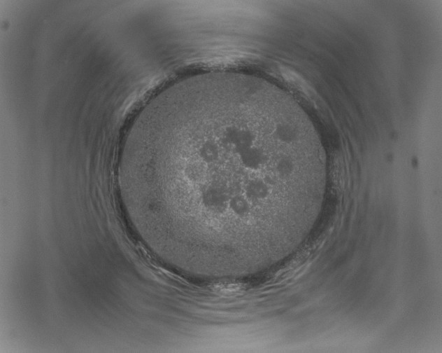 X0000070190495200606021101