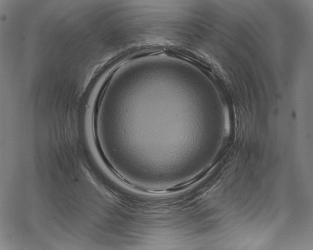 X0000070190496200606021101