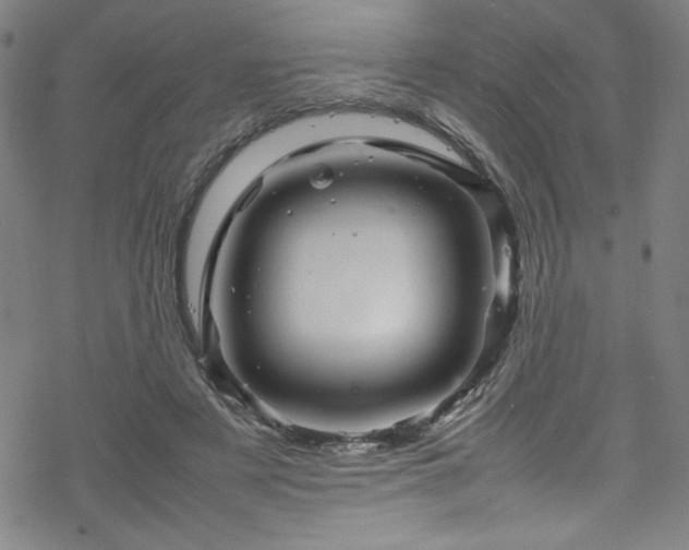 X0000070190497200606021101