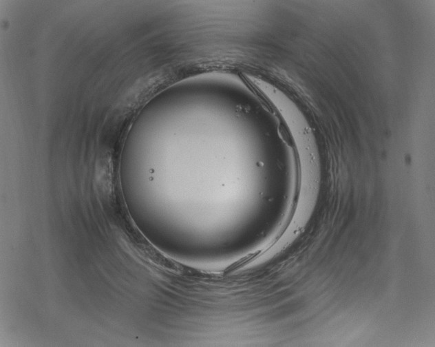 X0000070190498200606021101