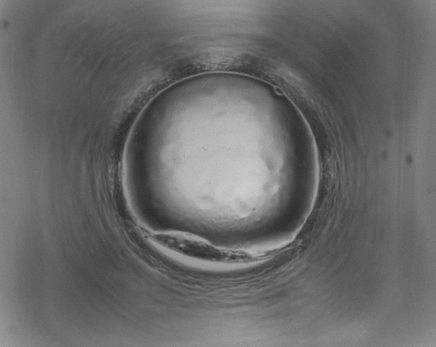 X0000070190499200606021101